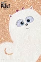 Super Gidget 2019