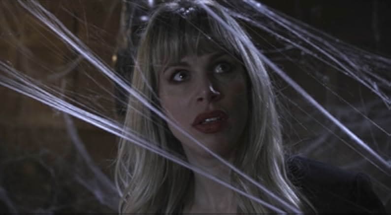 Spider in the Attic 2021