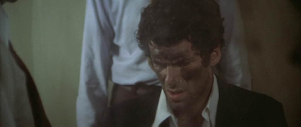 The Long Goodbye 1973