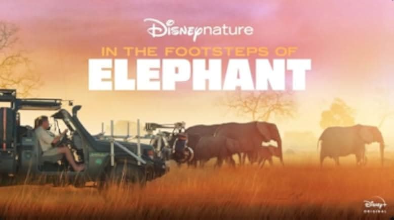 In the Footsteps of Elephant 2020