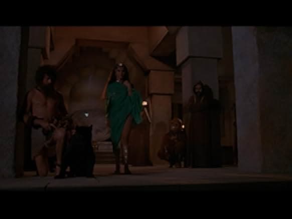 Sorceress 1982
