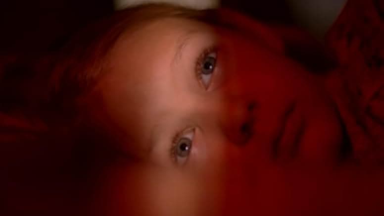 Gardens of the Night 2008