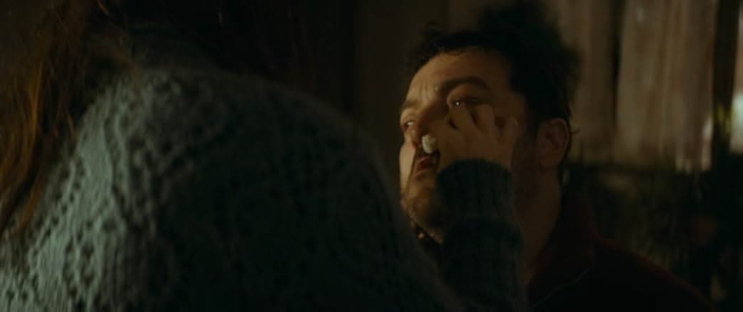 Only the Animals 2019