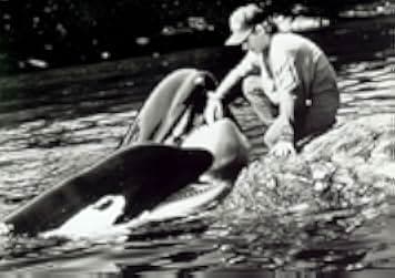 Free Willy 2: The Adventure Home 1995