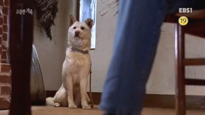 Choyonghan kajok 1998