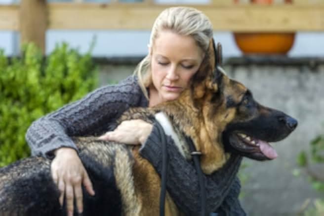 The Christmas Shepherd 2014