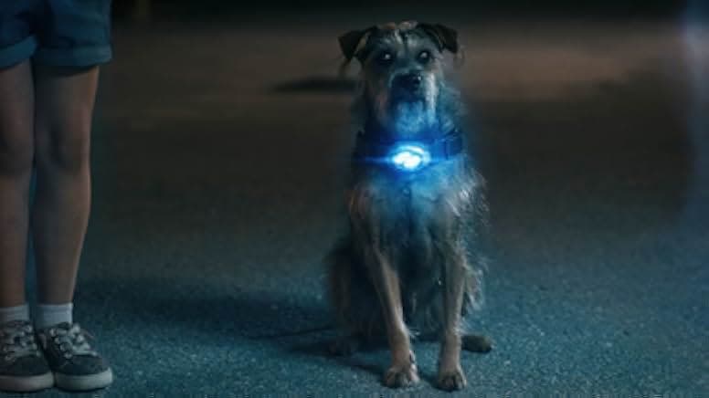 Space Pups 2023