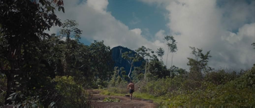 The Last Forest 2021