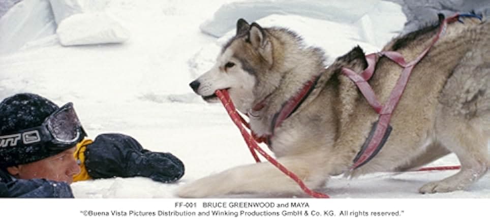 Eight Below 2006
