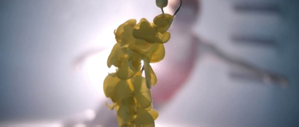 Upstream Color 2013