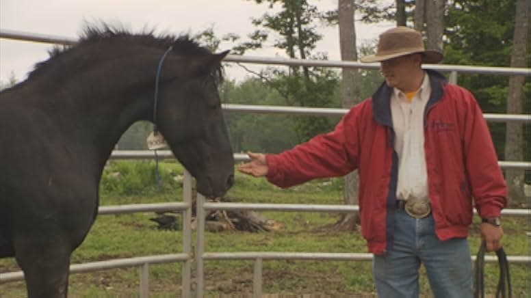 Wild Horse, Wild Ride 2011