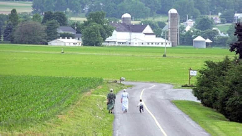 Amish Stud: The Eli Weaver Story 2023