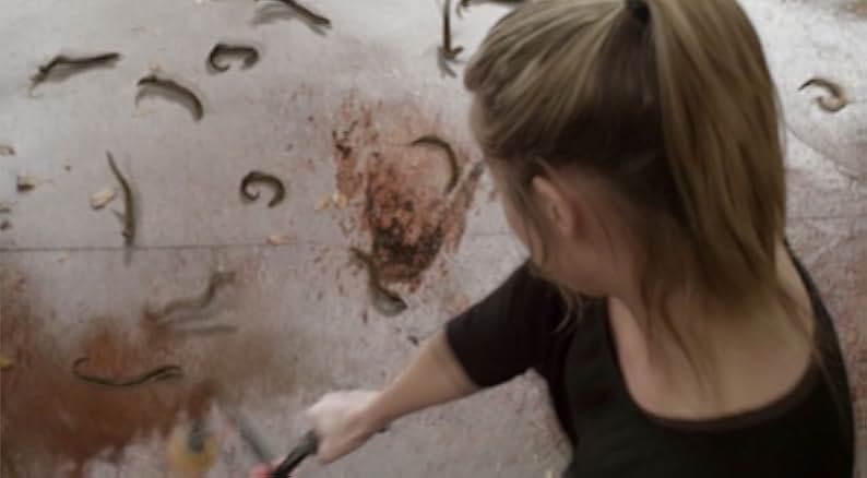 Blood Lake: Attack of the Killer Lampreys 2014