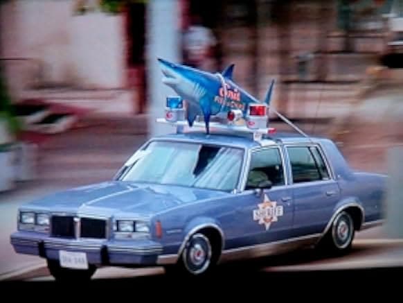 Smokey and the Bandit Part 3 1983