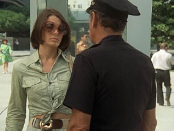 The Blue Knight 1973