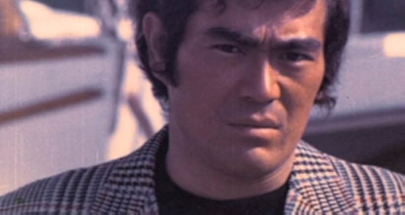Bodyguard Kiba 1976