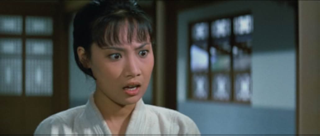 Lady Kung Fu 1972