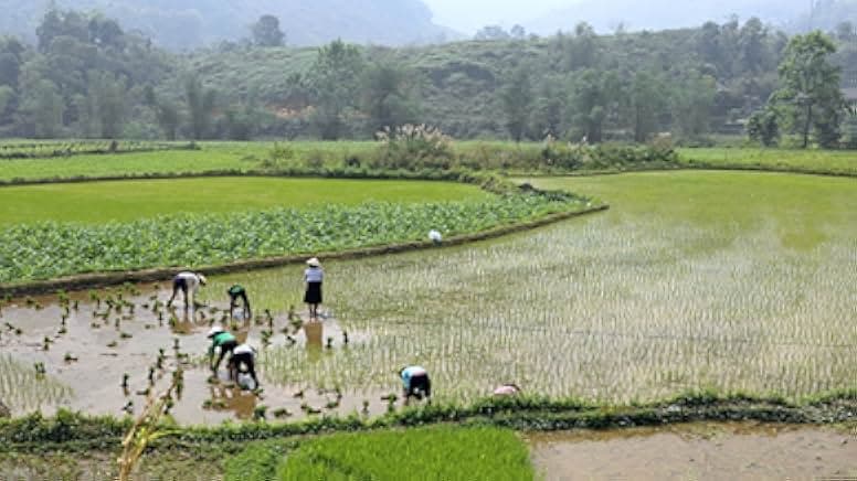 Vietnam: Fast Forward 2021
