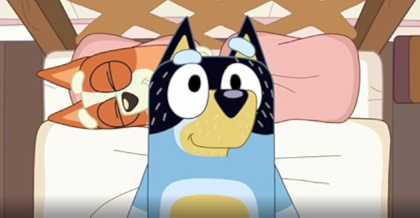 Bluey 2018