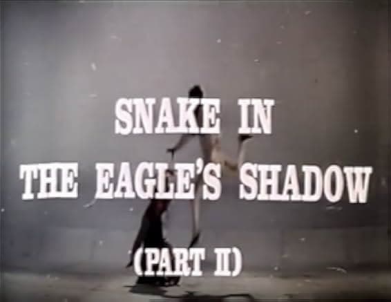 Snake in the Eagle's Shadow II 1979