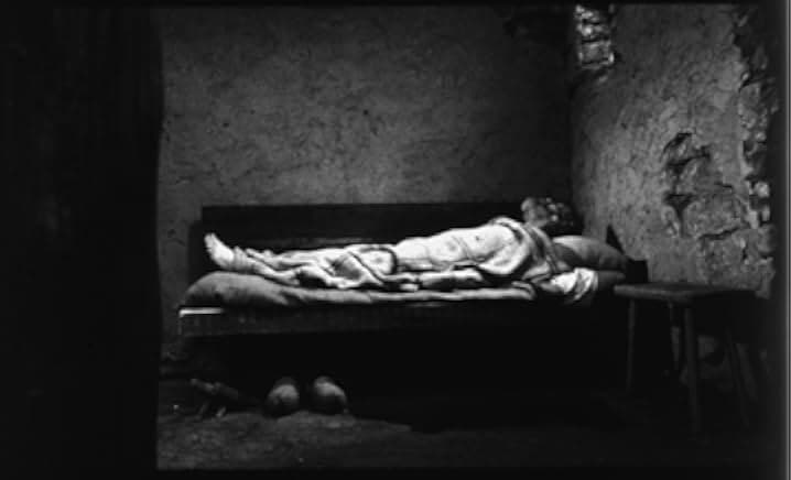 The Turin Horse 2011
