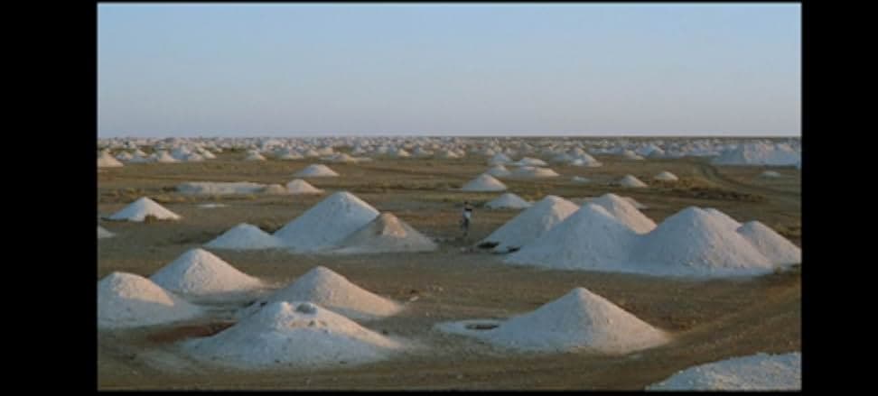 Where the Green Ants Dream 1984