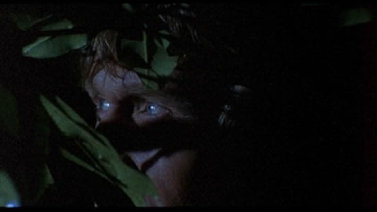 Predator: The Quietus 1988