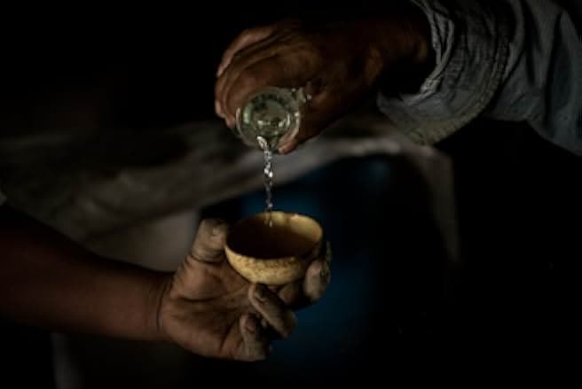 Agave: Spirit of a Nation 2018