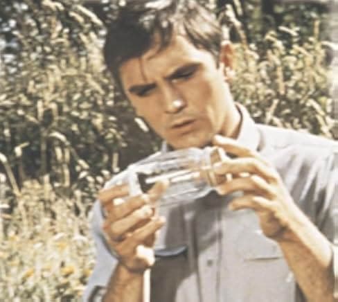 The Collector 1965