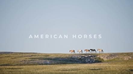 American Horses 2022
