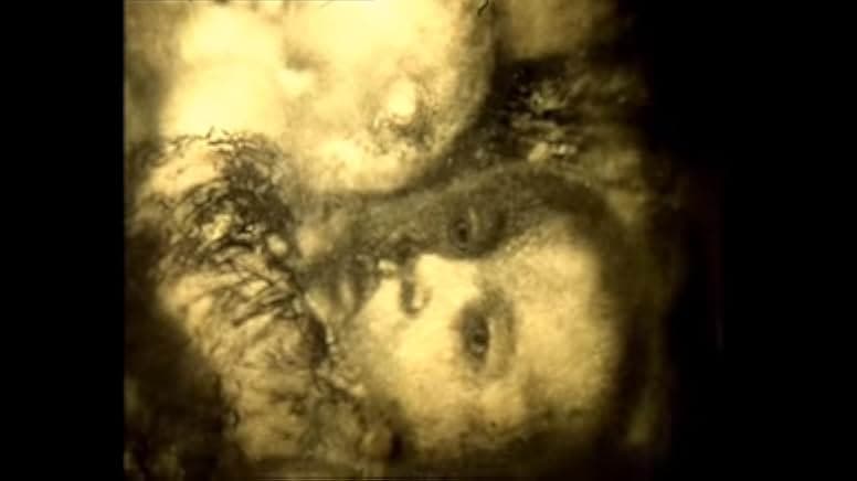 The Tale of Tales 1979