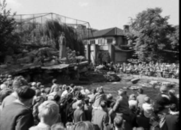 The Shop at Sly Corner 1948