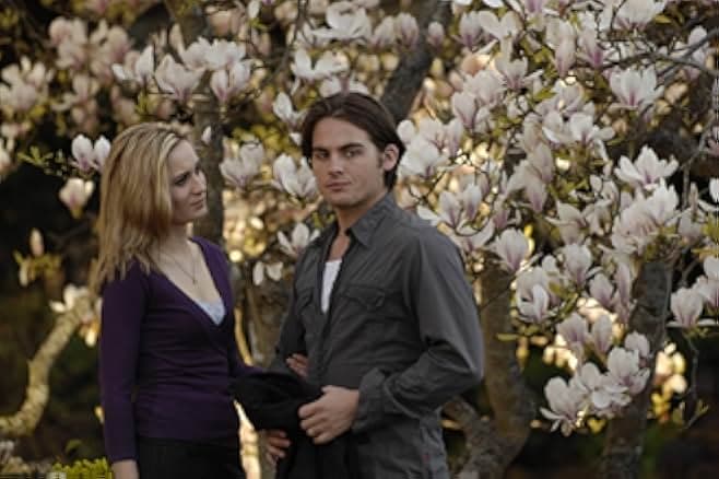 Normal 2007