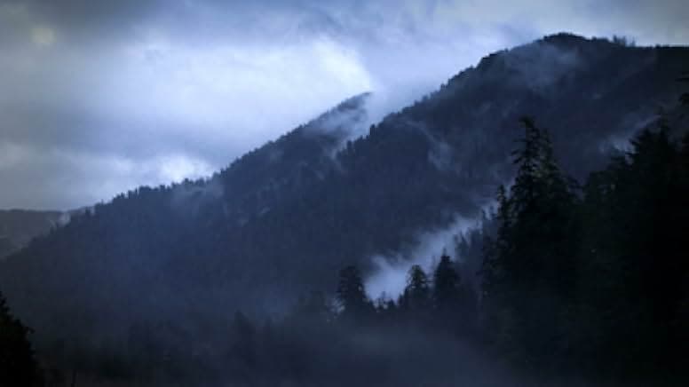 Don't Call Me Bigfoot 2020