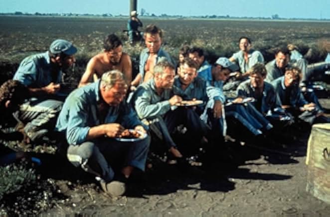 Cool Hand Luke 1967