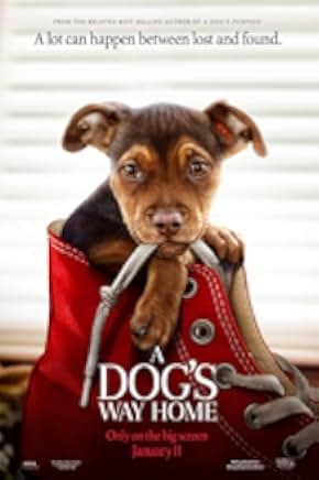 A Dog's Way Home 2019