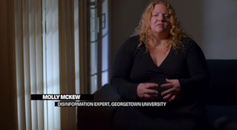 After Truth: Disinformation and the Cost of Fake News 2020