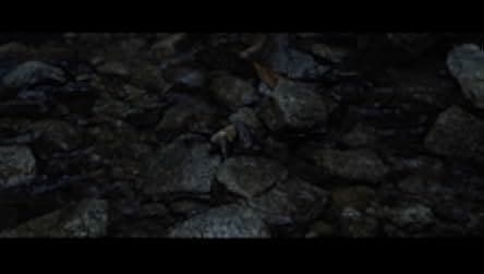Sator 2019