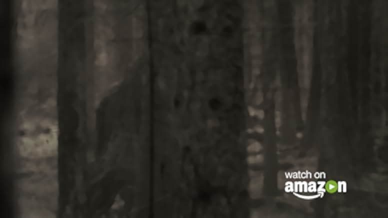 Don't Call Me Bigfoot 2020