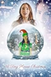 A Tiny House Christmas 2021