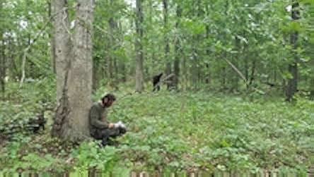 Bigfoot: Path of the Beast 2020