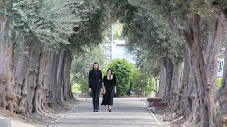 Pig Blood Vampire 2020