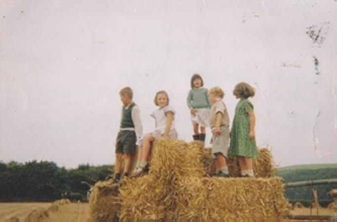 Ladies in Lavender 2004