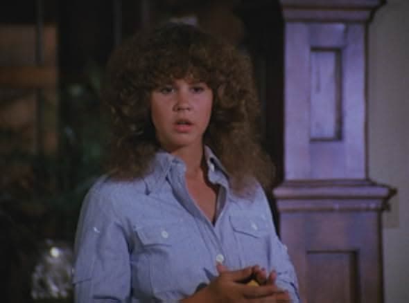 Summer of Fear 1978