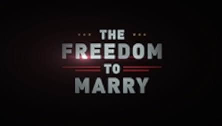 The Freedom to Marry 2017