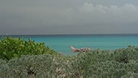 The Rise and Fall of LuLaRoe 2021