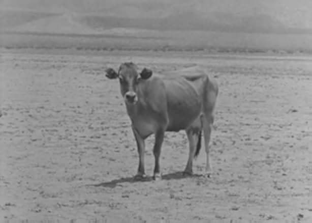 Go West 1925