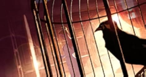Cinderella the Cat 2017