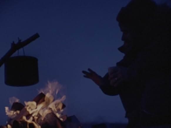 Cry of the Wild 1973