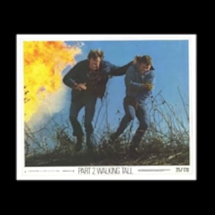 Walking Tall Part II 1975